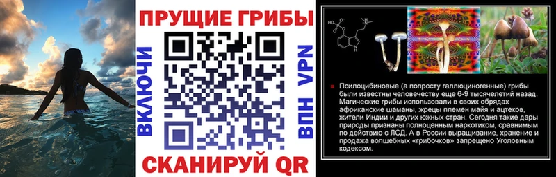 Галлюциногенные грибы ЛСД  наркота  ОМГ ОМГ ONION  Кирово-Чепецк 
