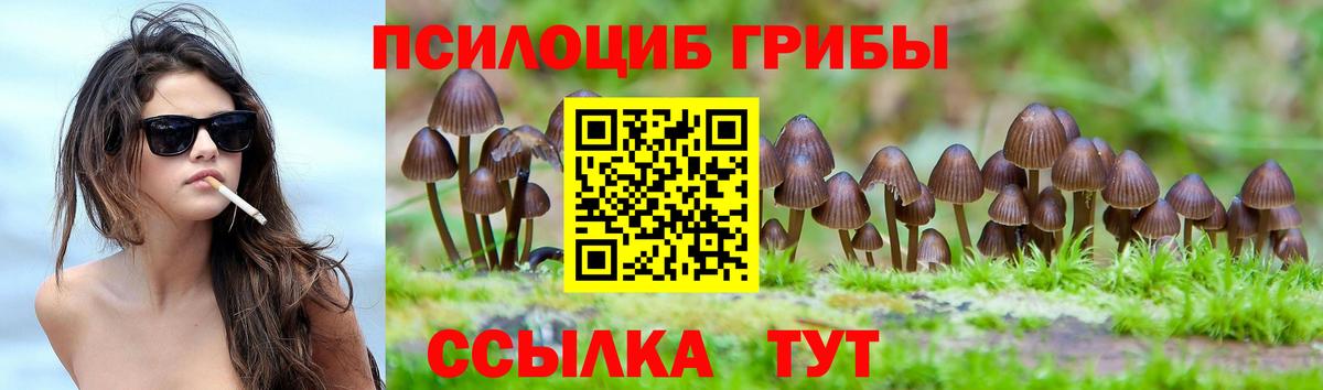 Кирово-Чепецк  Псилоцибиновые грибы MAGIC MUSHROOMS  Вход с VPN 